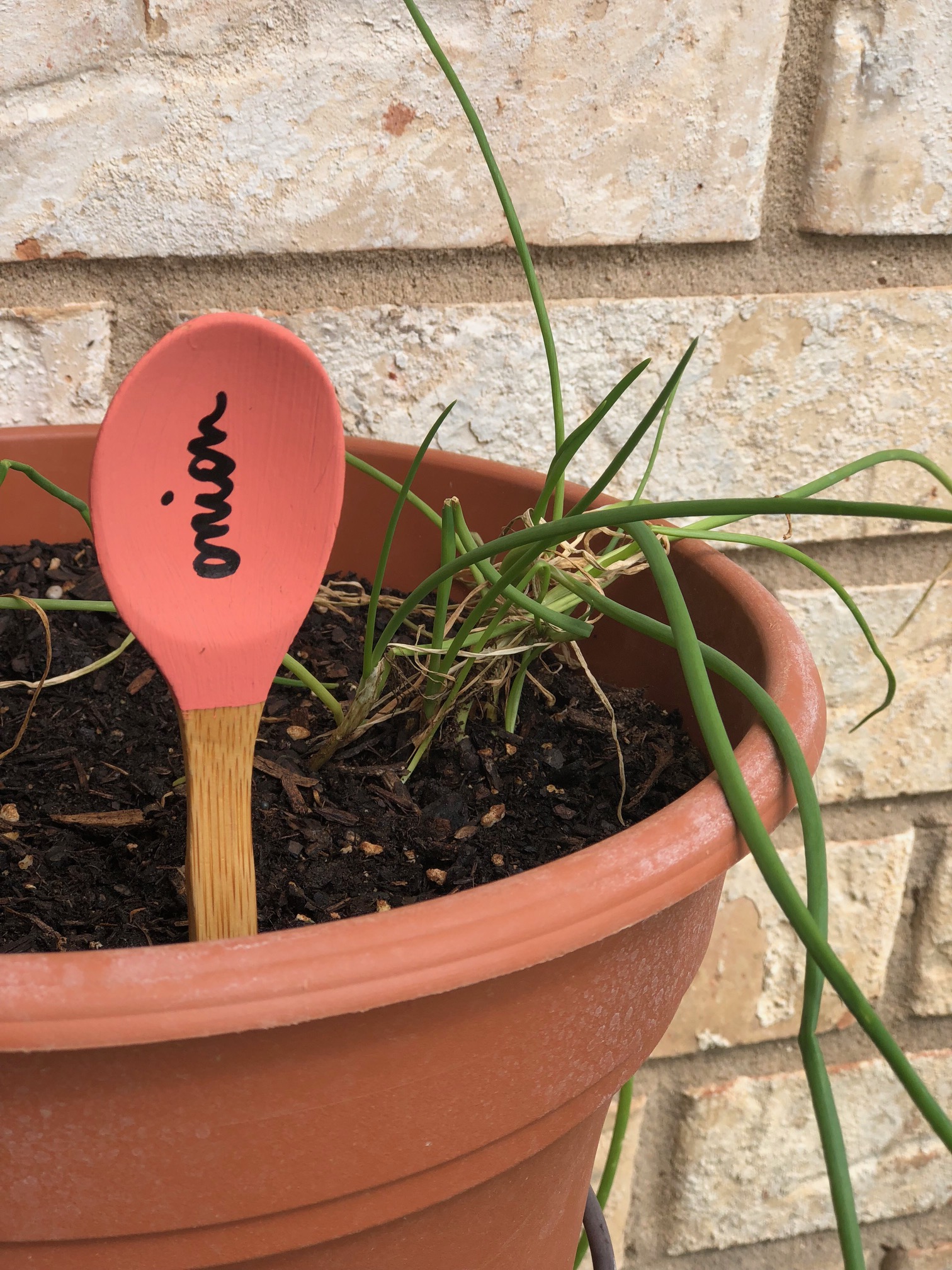 How to Create Easy Plant Markers 